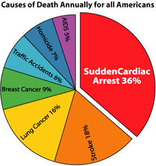 cause Of Death 2011 Top 10 Leading Causes of Death in The World 2010   2011