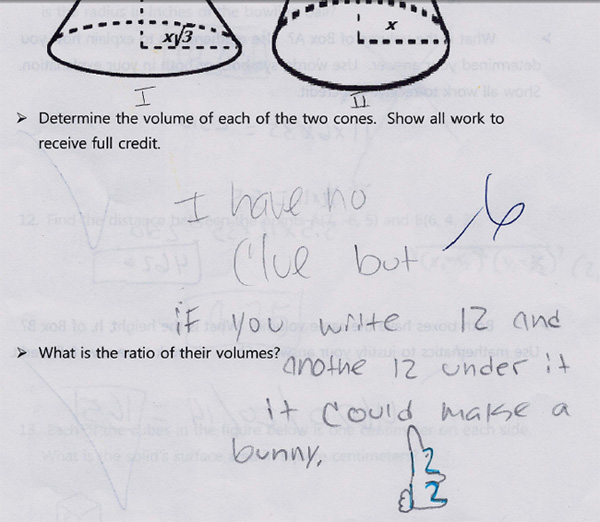 funny bunny exam Top 10 Most Funny Exam Answers