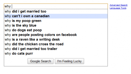 why cant i own a canadian 5 Top 10 Most Funny Google Search Suggestions