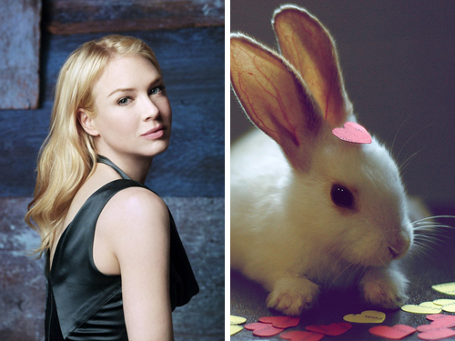 renee bunny 10 Celebrities Who Resembles to Animal Faces