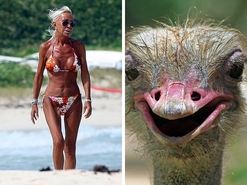 versace ostrich 10 Celebrities Who Resembles to Animal Faces