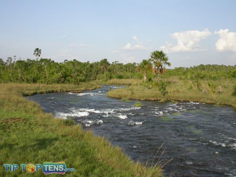 Emas National Park Top 10 Biggest and Popular Rainforests in The World