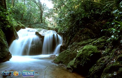 amazon rainforest Top 10 Biggest and Popular Rainforests in The World