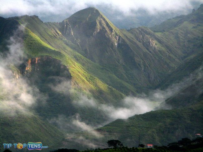 ecuador cloud forest Top 10 Biggest and Popular Rainforests in The World