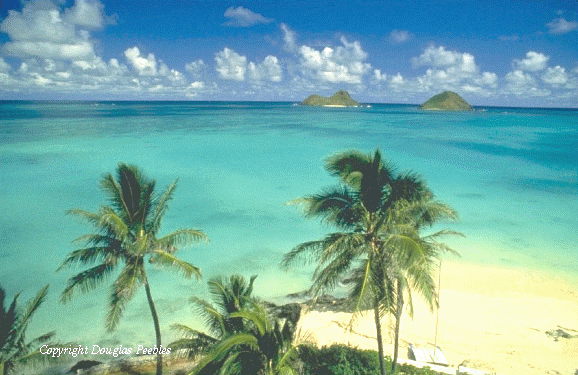 lanikai 10 Most Beautiful Beaches For Beach Vacation In 2011