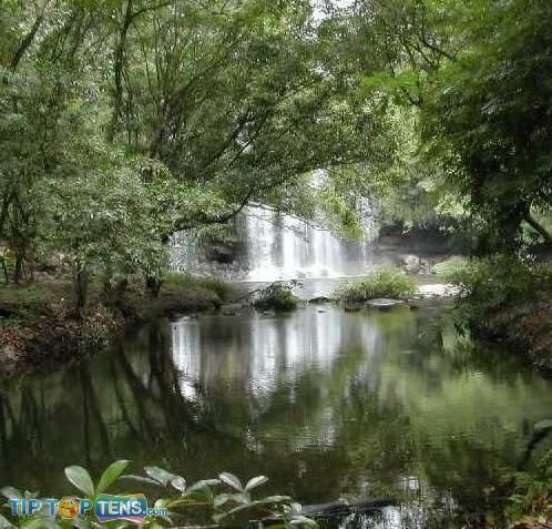 monteverde cloud forest Top 10 Biggest and Popular Rainforests in The World