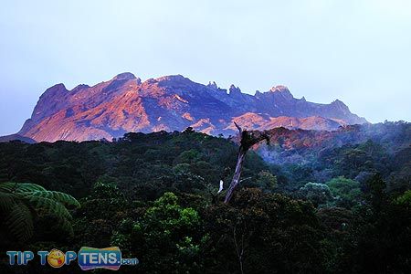 mount kinabalu Top 10 Biggest and Popular Rainforests in The World