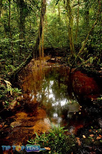 sapo national park Top 10 Biggest and Popular Rainforests in The World