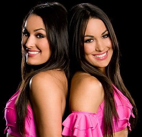 bella twins 10 Hottest WWE Divas Of 2011