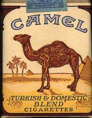 camel 10 Most Popular Cigarette Brands