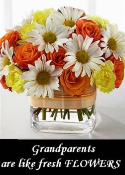 6. Flowers e1314704385656 10 Best Grandparents Day Gifts in 2011