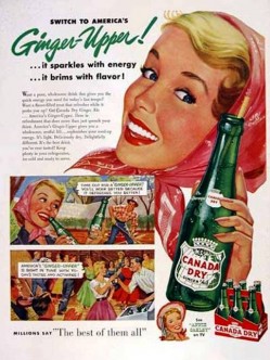 3. Canada Dry Ginger Ale e1315566727555 Top 10 Most Popular Soft Drinks