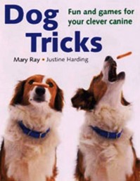 6. Fostering Tricks e1314992673634 Top 10 Most Effective Tips on How to Train Dogs