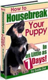 8. House Familiarization e1314992586630 Top 10 Most Effective Tips on How to Train Dogs