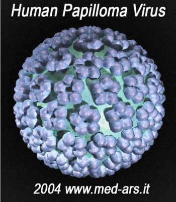 10. The HPV Human Papilloma Virus e1318355871428 Top 10 Viral Diseases in the World