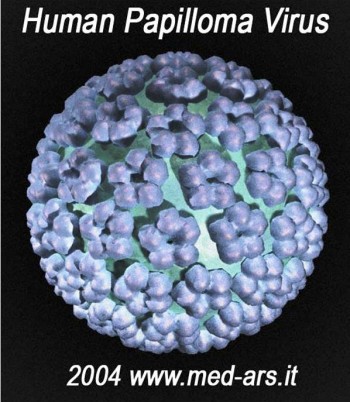 Top 10 Viral Diseases in the World 10. The HPV Human Papilloma Virus e1318355871428 Top 10 Viral Diseases in the World