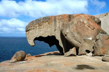 7. Kangaroo Island e1319185850715 Top 10 Best Places to Visit in Australia