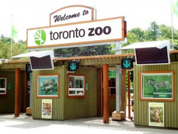 7. Toronto Zoo e1318869434613 Top 10 Canada Halloween Party Destinations 