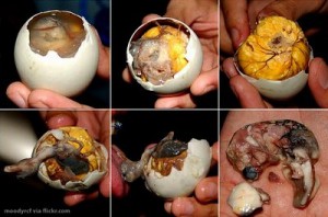 balut1 300x198 Top 10 Most Disgusting Food Items
