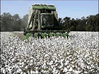 Top 10 Cotton Producing Countries 3. United States e1322040758751 Top 10 Cotton Producing Countries