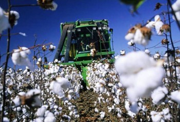 Top 10 Cotton Producing Countries 5. Brazil e1322040656326 Top 10 Cotton Producing Countries