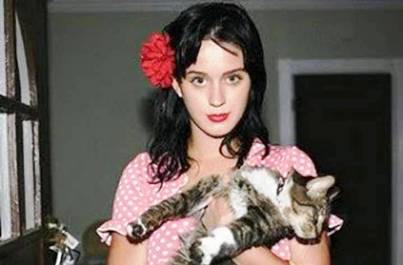 6. Pet cat has her own blog 10 Things You Probably Didnt Know About Katy Perry