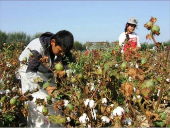 Top 10 Cotton Producing Countries 6. Uzbekistan e1322040580823 Top 10 Cotton Producing Countries