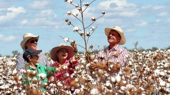 Top 10 Cotton Producing Countries 7. Australia e1322040491822 Top 10 Cotton Producing Countries