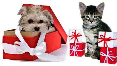 7. Pets Top 10 Best Christmas Gifts for Teens