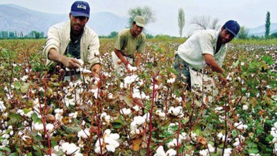 Top 10 Cotton Producing Countries 8. Turkey e1322040429507 Top 10 Cotton Producing Countries