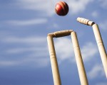 Cricket