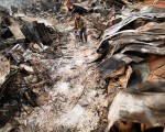2. Japanese Multiple Disasters