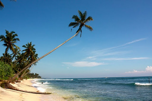 Sri Lanka beaches  Top 10 Best Honeymoon Destinations For 2012