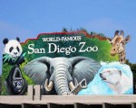 5. The World-Famous San Diego Zoo
