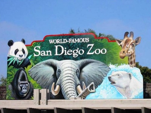 5. The World Famous San Diego Zoo e1334653098721 10 Best Places to Visit During Summer