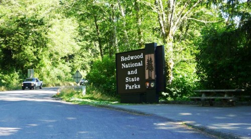 6. Drive to the Redwood National State Parks e1334652974156 10 Best Places to Visit During Summer