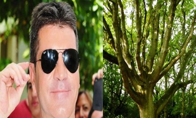 7. Climbing Trees for Simon Cowell e13335451037711 10 Weird Hobbies of the Rich and Famous