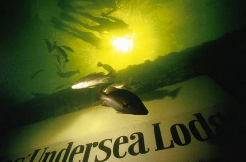 2. Jules’ Undersea Lodge e1343311358630 Top 10 Underwater Hotels in the World