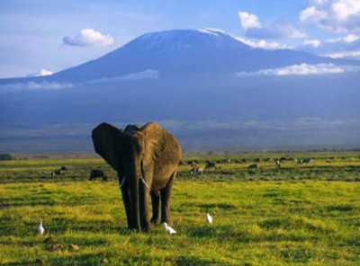 8. Masai Mara National Park e1345501837103 Top 10 Secret Tourist Destinations