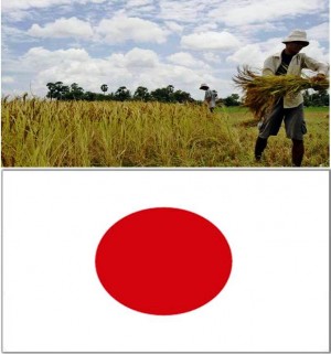 10. Japan  e1348142140607 Top 10 Rice Producing Countries in the World