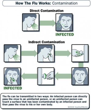 10 Most Interesting Facts about Flu 7. How Does Flu Spread e1347372012182 10 Most Interesting Facts about Flu