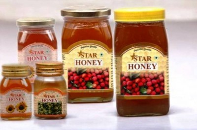 8. India e1348027507339 Top 10 Honey Producing Countries in the World