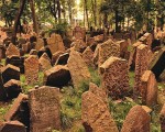 7. Old Jewish Cemetery