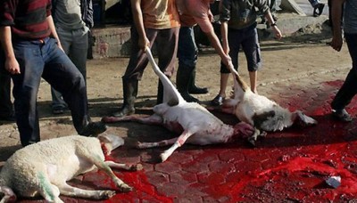 9. Meat Sacrifice e1349967572828 Top 10 Facts about Eid al Adha 2012