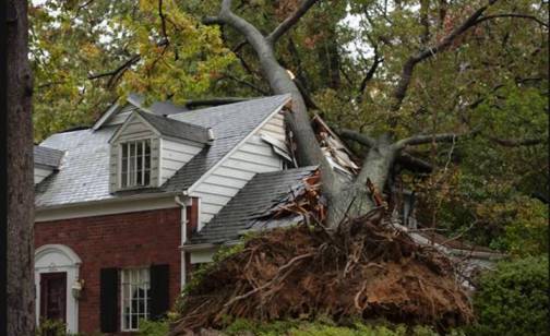 2. Call the Government for Cleanup Assistance Top 10 Post Disaster Cleanup Tips