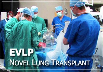 7. Ex Vivo Lung Perfusion e1351834179809 Top 10 Medical Innovations in 2013