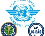 5. Organizations that Work With ICAO