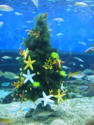 5. Underwater Christmas Tree e1355845011466 Top 10 Weirdest Christmas Trees in the World