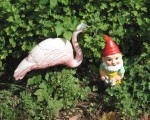 Yard Decorations