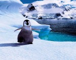 Top 10 Penguin Movies of All Time